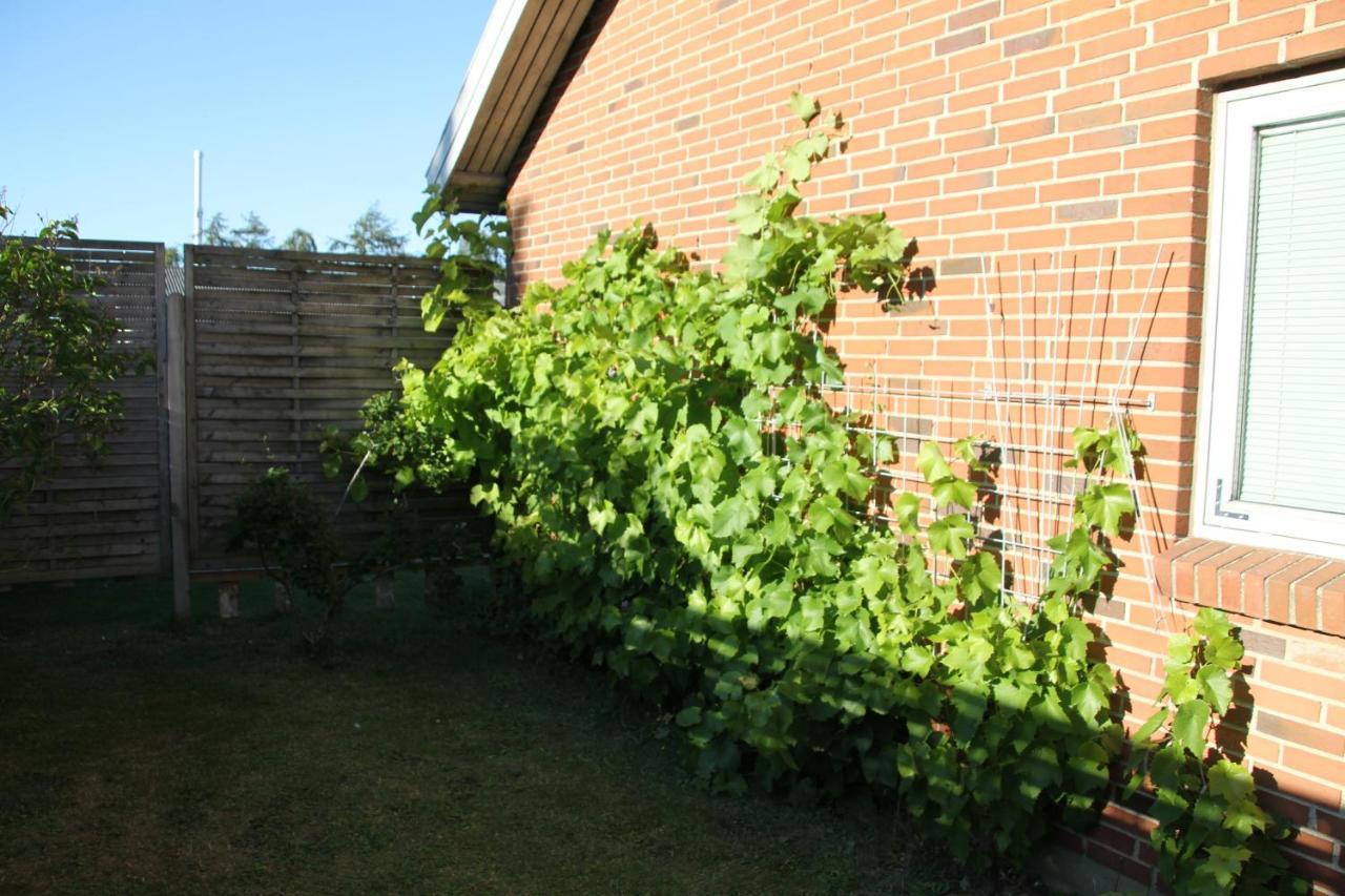 Hine Bakke Bed And Breakfast Rudkøbing 외부 사진